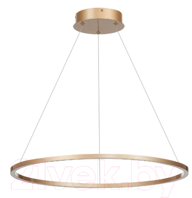 Потолочный светильник ST Luce Down ST605.243.34 - фото