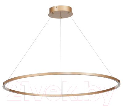 Потолочный светильник ST Luce Down ST605.243.46 - фото