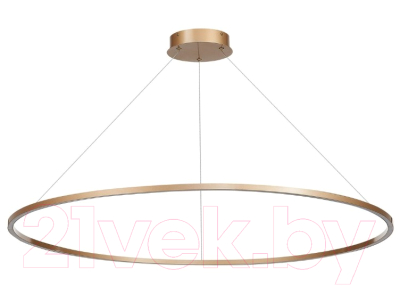 Потолочный светильник ST Luce Down ST605.243.57 - фото