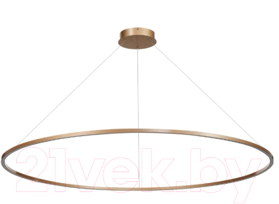 Потолочный светильник ST Luce Down ST605.243.72 - фото