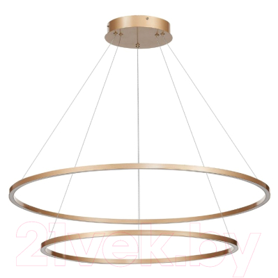 Потолочный светильник ST Luce Down ST605.243.91 - фото