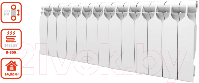Радиатор биметаллический BiLux Plus R300