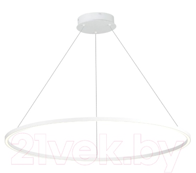 Потолочный светильник ST Luce Down ST605.543.46