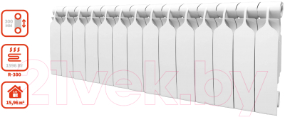 Радиатор биметаллический BiLux Plus R300