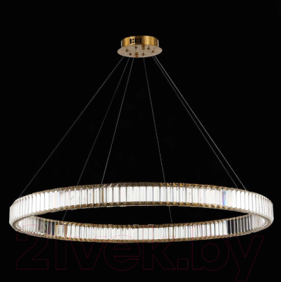 Потолочный светильник ST Luce Tivoli SL1622.313.01