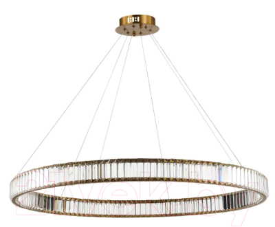 Потолочный светильник ST Luce Tivoli SL1622.313.01