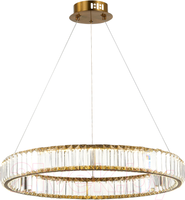 Потолочный светильник ST Luce Tivoli SL1622.363.01 - фото