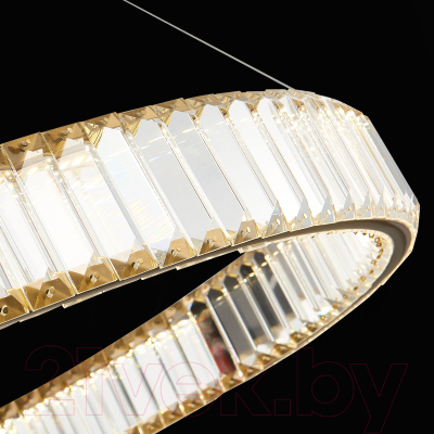 Потолочный светильник ST Luce Tivoli SL1622.363.01