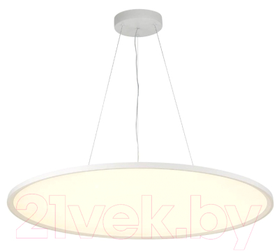 Потолочный светильник ST Luce ST602.543.96 - фото