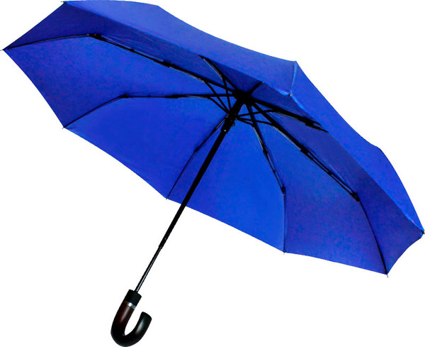 Зонт складной SunShine Конгресс 8005.03 - фото