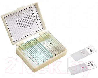 Набор микропрепаратов Микромед Зоология / 22749 - фото