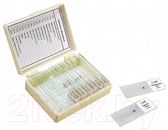 Набор микропрепаратов Микромед Анатомия и физиология / 22750 - фото