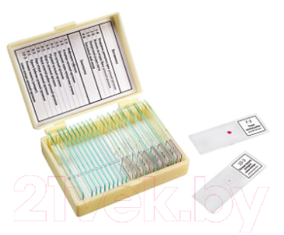 Набор микропрепаратов Микромед Ботаника и зоология / 22752 - фото