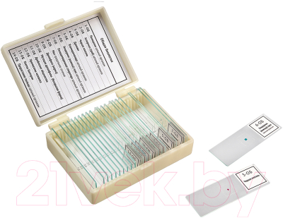 Набор микропрепаратов Микромед Общая биология / 22753 - фото