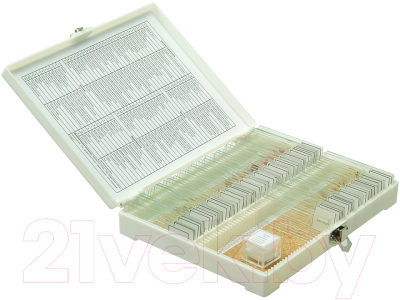 Набор микропрепаратов Микромед №80 / 23319 - фото