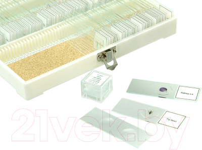 Набор микропрепаратов Микромед №80 / 23319