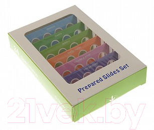 Набор микропрепаратов Микромед №24 / 26626 - фото