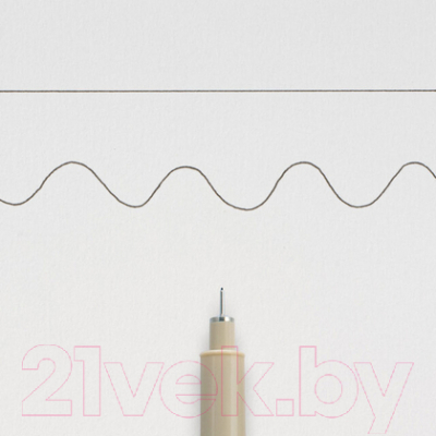 Ручка капиллярная Sakura Pen Pigma Micron / XSDK00549