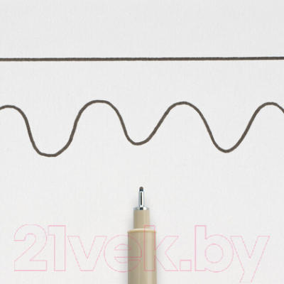 Ручка капиллярная Sakura Pen Pigma Micron / XSDK0849