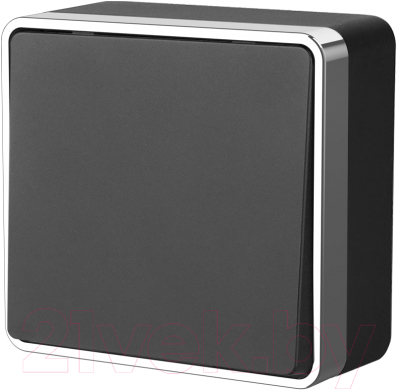 Выключатель Werkel Gallant W5012035 - фото