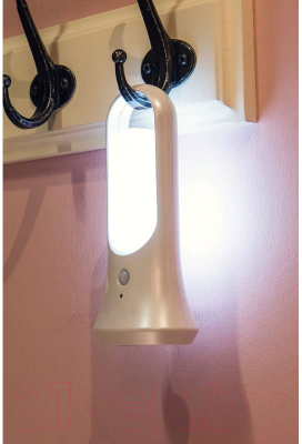 Светильник для подсобных помещений ArtStyle CL-W03W