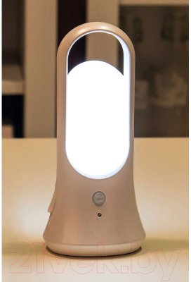 Светильник для подсобных помещений ArtStyle CL-W03W