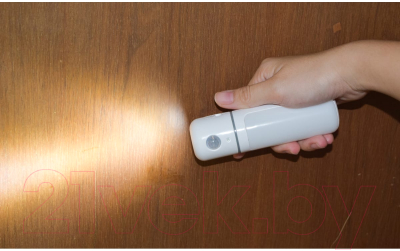 Светильник для подсобных помещений ArtStyle CL-W04W