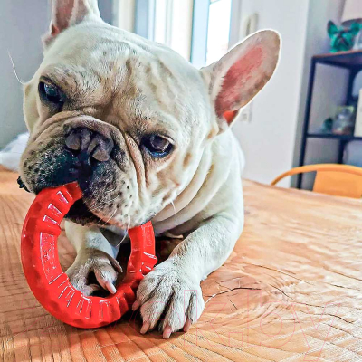 Игрушка для собак Ferplast Кольцо Smile Large / 86793012