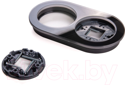 Рамка для выключателей и розеток Werkel W0025108 / a051629