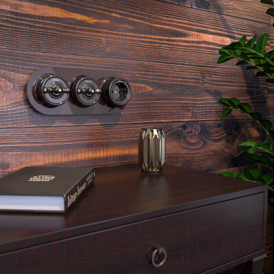 Выключатель Werkel Ретро W5612014 / a051057