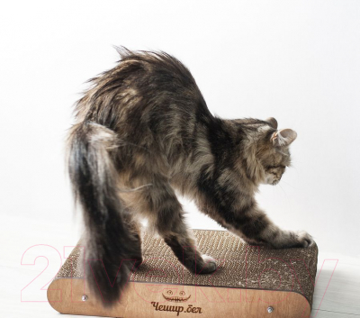 Лежанка-когтеточка Чешир Мини / 375-28