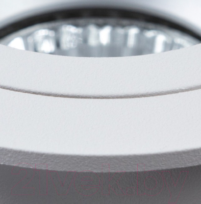 Точечный светильник Arte Lamp Alkes A2161PL-1WH