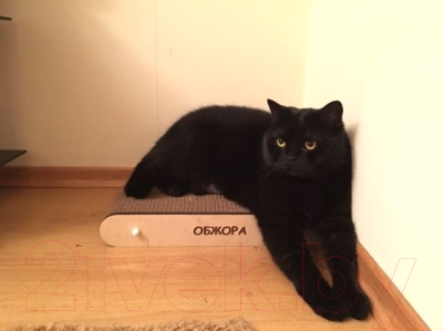 Лежанка-когтеточка Чешир Мини / 375-27