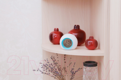 Метеостанция цифровая Bradex Ball TD 0742 (белый)