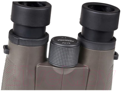 Бинокль Praktica Pioneer R 10x42 / PRA244