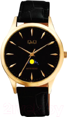 Часы наручные мужские Q&Q AA30J102Y - фото