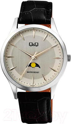 Часы наручные мужские Q&Q AA30J321Y - фото