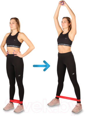 Набор эспандеров Indigo IN261