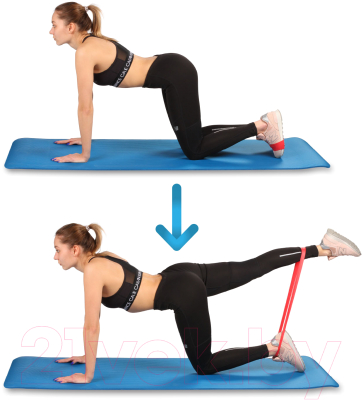 Набор эспандеров Indigo IN261