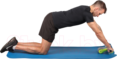 Ролик для пресса Indigo IN302