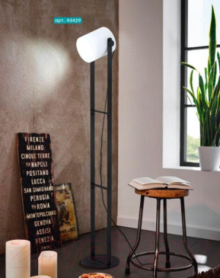 Торшер Eglo Hornwood 1 43429