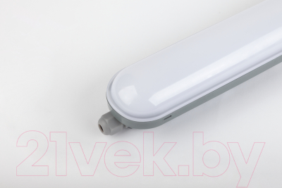 Светильник линейный ЭРА SPP-201-0-65K-048 / Б0047179