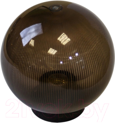 Светильник уличный ЭРА НТУ 02-60-205 / Б0048070 - фото