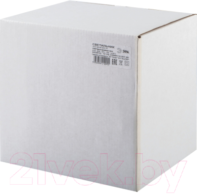 Светильник уличный ЭРА Оскар НТУ 04-60-001 / Б0048100