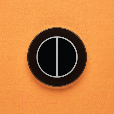 Выключатель DeLUMO Ronda 9005 двухканальный клавишный