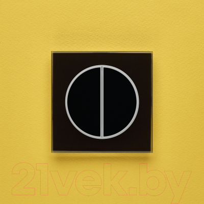 Выключатель DeLUMO Takto 9005 двухканальный клавишный