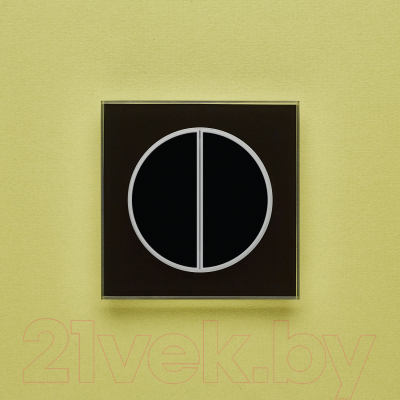 Выключатель DeLUMO Takto 9005 двухканальный клавишный