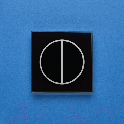 Выключатель DeLUMO Takto 9005 двухканальный клавишный