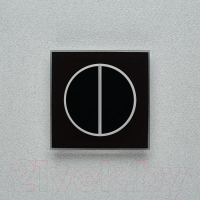 Выключатель DeLUMO Takto 9005 двухканальный клавишный