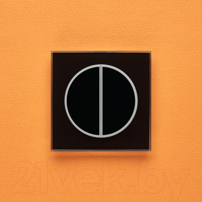 Выключатель DeLUMO Takto 9005 двухканальный клавишный